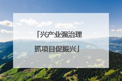 兴产业强治理 抓项目促振兴