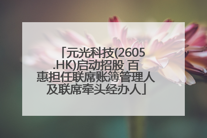 元光科技(2605.HK)启动招股 百惠担任联席账簿管理人及联席牵头经办人