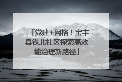 党建+网格！宝丰县铁北社区探索高效能治理新路径