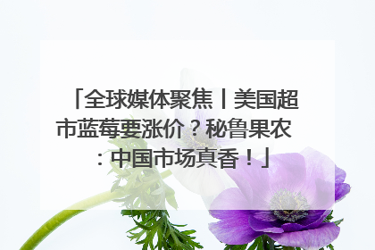 全球媒体聚焦丨美国超市蓝莓要涨价？秘鲁果农：中国市场真香！
