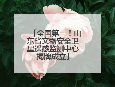 全国第一！山东省文物安全卫星遥感监测中心揭牌成立