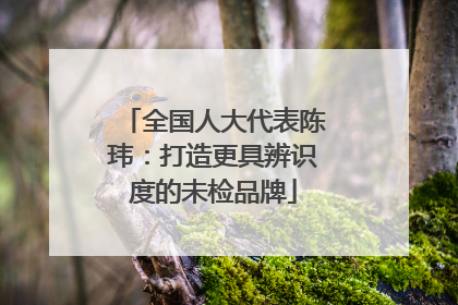 全国人大代表陈玮：打造更具辨识度的未检品牌
