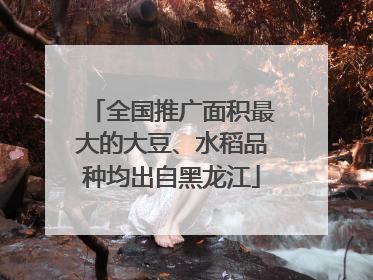 全国推广面积最大的大豆、水稻品种均出自黑龙江