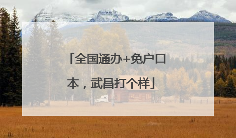 全国通办+免户口本，武昌打个样