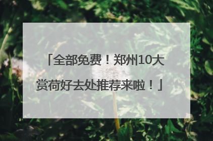 全部免费！郑州10大赏荷好去处推荐来啦！