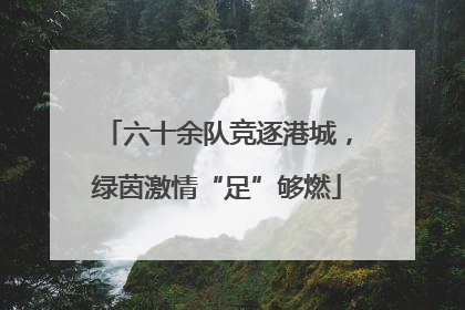 六十余队竞逐港城，绿茵激情“足”够燃