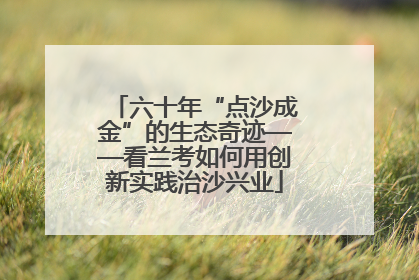 六十年“点沙成金”的生态奇迹——看兰考如何用创新实践治沙兴业
