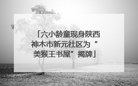六小龄童现身陕西神木市新元社区为“美猴王书屋”揭牌