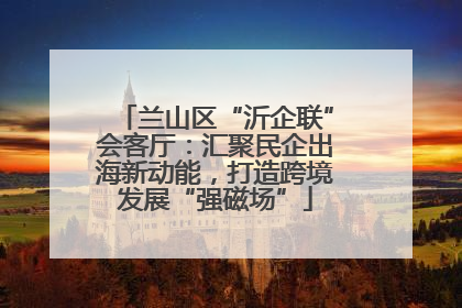 兰山区“沂企联”会客厅：汇聚民企出海新动能，打造跨境发展“强磁场”
