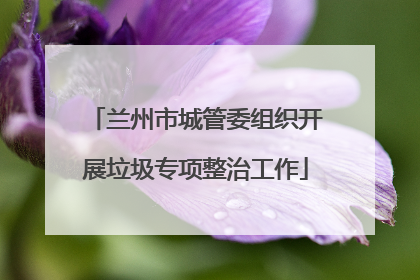 兰州市城管委组织开展垃圾专项整治工作