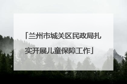 兰州市城关区民政局扎实开展儿童保障工作