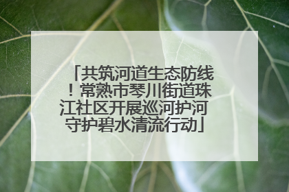 共筑河道生态防线！常熟市琴川街道珠江社区开展巡河护河守护碧水清流行动