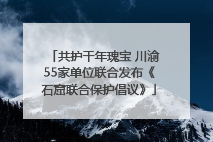 共护千年瑰宝 川渝55家单位联合发布《石窟联合保护倡议》