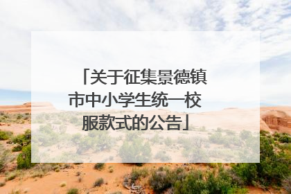 关于征集景德镇市中小学生统一校服款式的公告