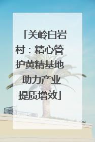 关岭白岩村：精心管护黄精基地 助力产业提质增效