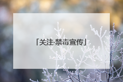 关注·禁毒宣传