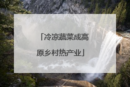 冷凉蔬菜成高原乡村热产业