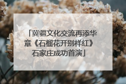 冀疆文化交流再添华章《石榴花开别样红》石家庄成功首演