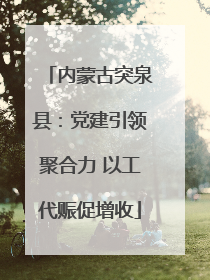 内蒙古突泉县：党建引领聚合力 以工代赈促增收