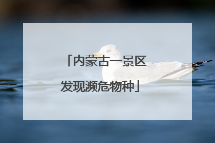 内蒙古一景区发现濒危物种