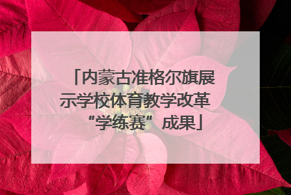 内蒙古准格尔旗展示学校体育教学改革“学练赛”成果
