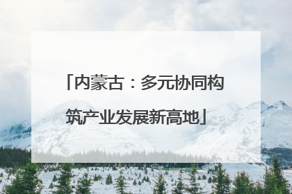 内蒙古：多元协同构筑产业发展新高地