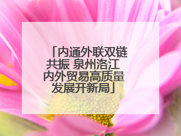 内通外联双链共振 泉州洛江内外贸易高质量发展开新局