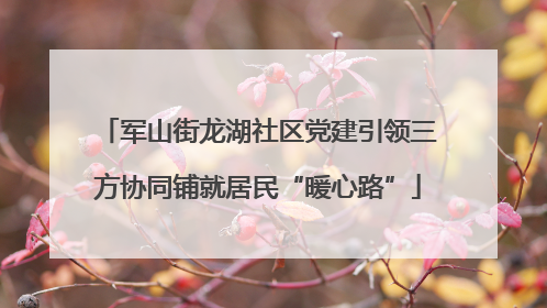 军山街龙湖社区党建引领三方协同铺就居民“暖心路”