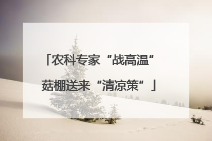 农科专家“战高温” 菇棚送来“清凉策”