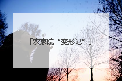 农家院“变形记”