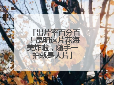 出片率百分百！昆明这片花海美炸啦，随手一拍就是大片