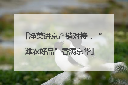 净菜进京产销对接，“潍农好品”香满京华