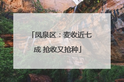 凤泉区：麦收近七成 抢收又抢种