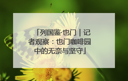 列国鉴·也门｜记者观察：也门咖啡园中的无奈与坚守