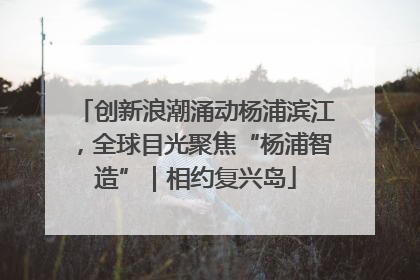创新浪潮涌动杨浦滨江，全球目光聚焦“杨浦智造”｜相约复兴岛