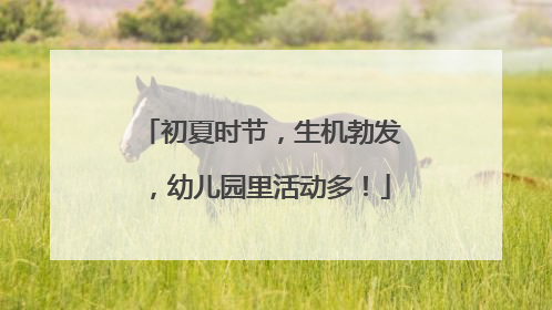 初夏时节，生机勃发，幼儿园里活动多！