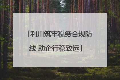 利川筑牢税务合规防线 助企行稳致远