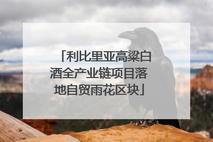 利比里亚高粱白酒全产业链项目落地自贸雨花区块