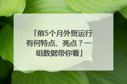 前5个月外贸运行有何特点、亮点？一组数据带你看