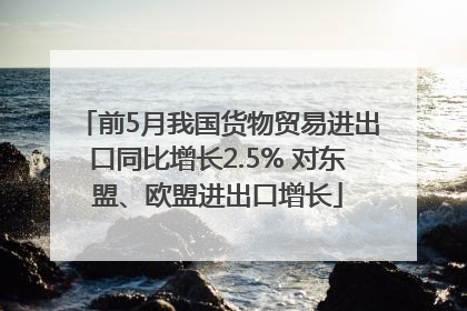 前5月我国货物贸易进出口同比增长2.5% 对东盟、欧盟进出口增长