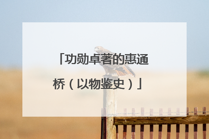 功勋卓著的惠通桥（以物鉴史）