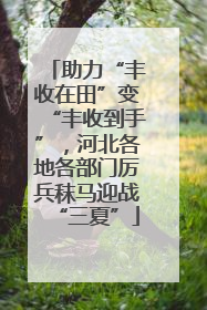 助力“丰收在田”变“丰收到手”，河北各地各部门厉兵秣马迎战“三夏”