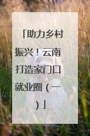 助力乡村振兴！云南打造家门口就业圈（一）