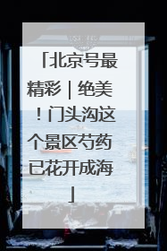 北京号最精彩｜绝美！门头沟这个景区芍药已花开成海