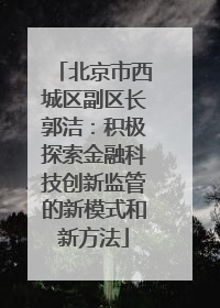 北京市西城区副区长郭洁：积极探索金融科技创新监管的新模式和新方法