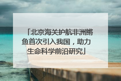 北京海关护航非洲鳉鱼首次引入我国，助力生命科学前沿研究