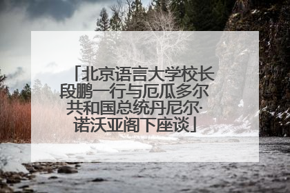 北京语言大学校长段鹏一行与厄瓜多尔共和国总统丹尼尔·诺沃亚阁下座谈