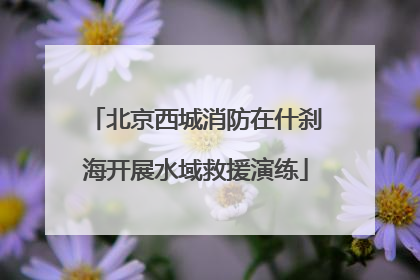北京西城消防在什刹海开展水域救援演练