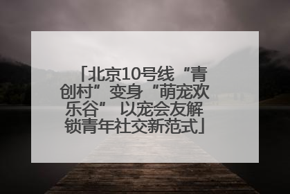 北京10号线“青创村”变身“萌宠欢乐谷” 以宠会友解锁青年社交新范式