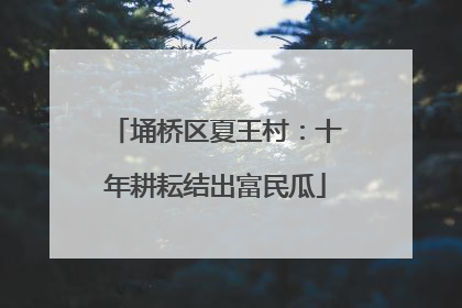 埇桥区夏王村：十年耕耘结出富民瓜
